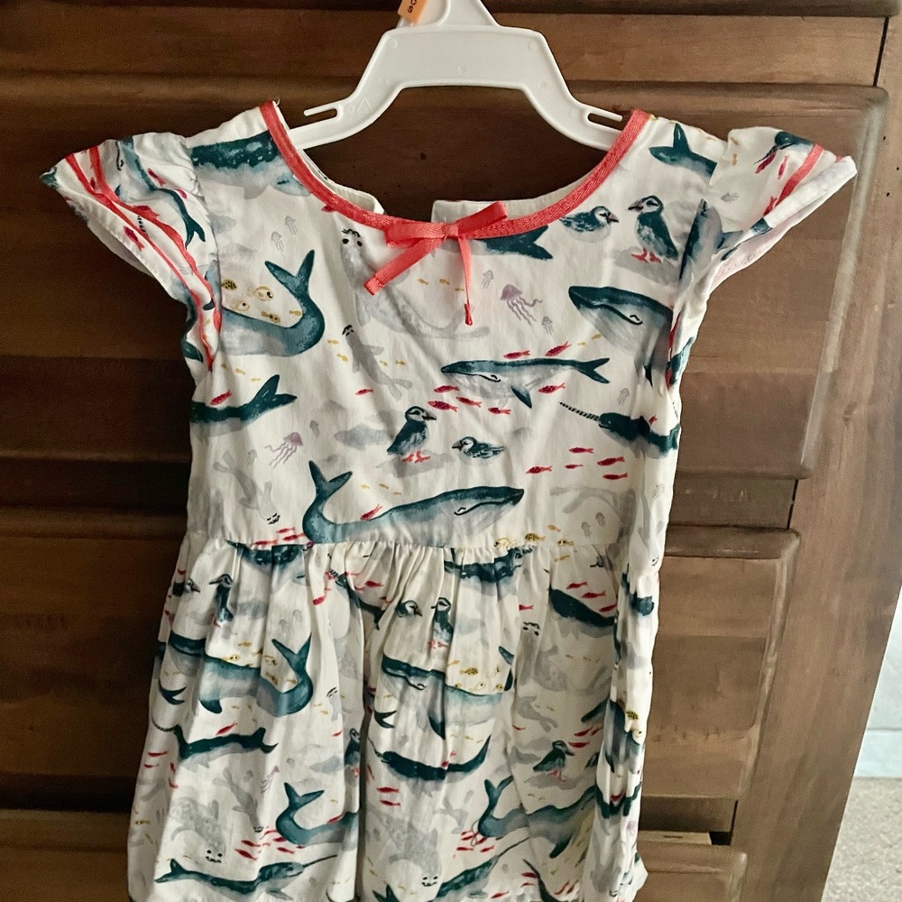 Oshkosh B’gosh Whale Print Dress with orange piping/ Bow